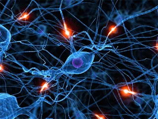 Atividades Sensoriais: Diversão para o corpo, alimento para a mente!